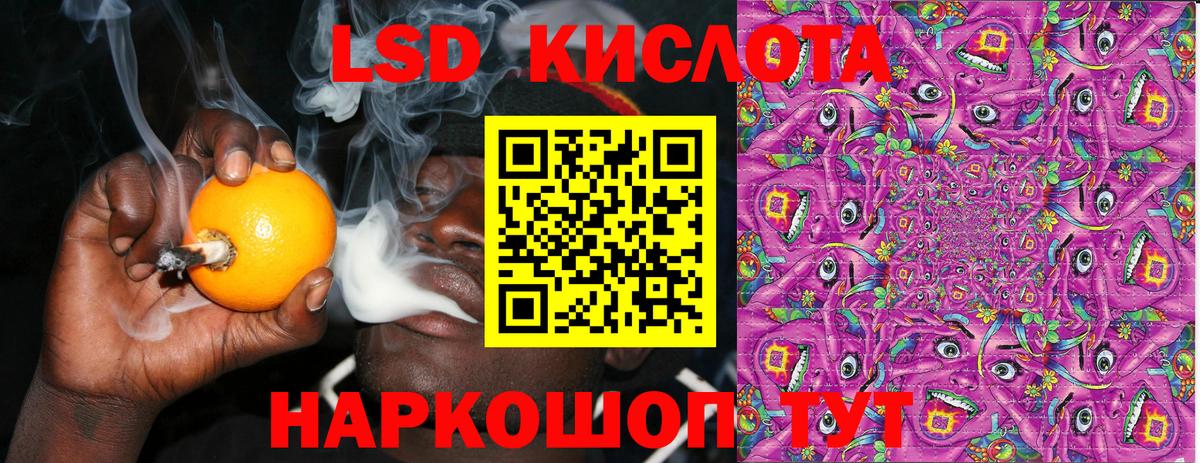 APVP Елец