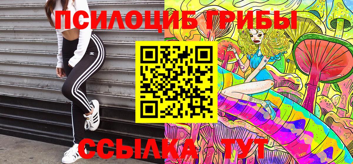 Псилоцибиновые грибы мицелий Елец