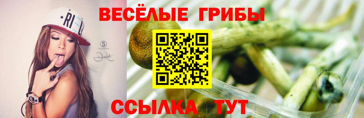 Елец  Псилоцибиновые грибы GOLDEN TEACHER  Вход с VPN 